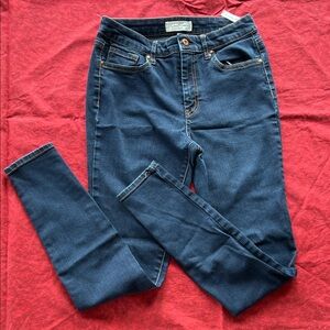 Jessica Simpson Deep Blue Women's Skinny Jeans